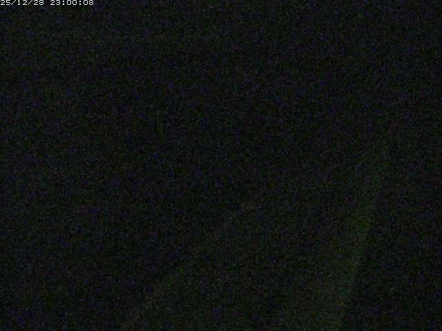 由良川１2025/12/29 11:00:00