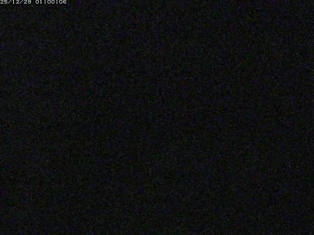 由良川１2025/12/29 11:00:00