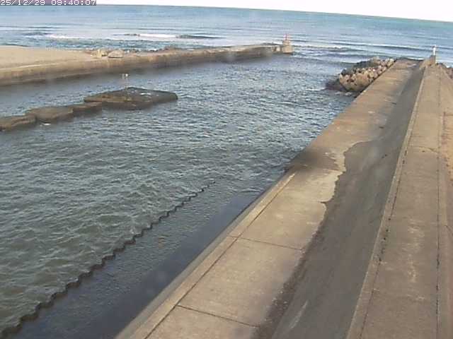 由良川１2025/12/29 11:00:00