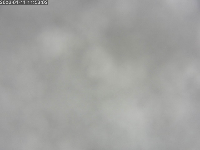 浜村川１2026/01/12 1:00:00