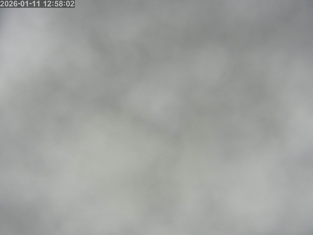 浜村川１2026/01/12 1:00:00