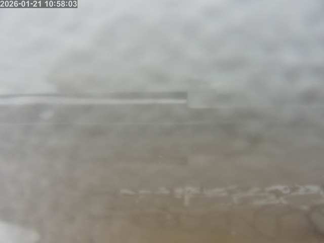 浜村川１2026/01/22 2:10:00