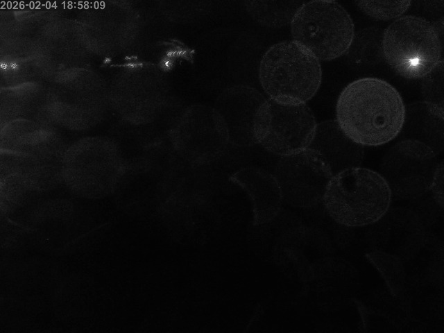 浜村川１2026/02/05 6:00:00