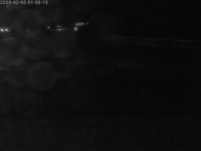 浜村川１2026/02/05 6:00:00