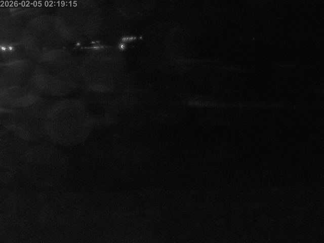 浜村川１2026/02/05 6:00:00