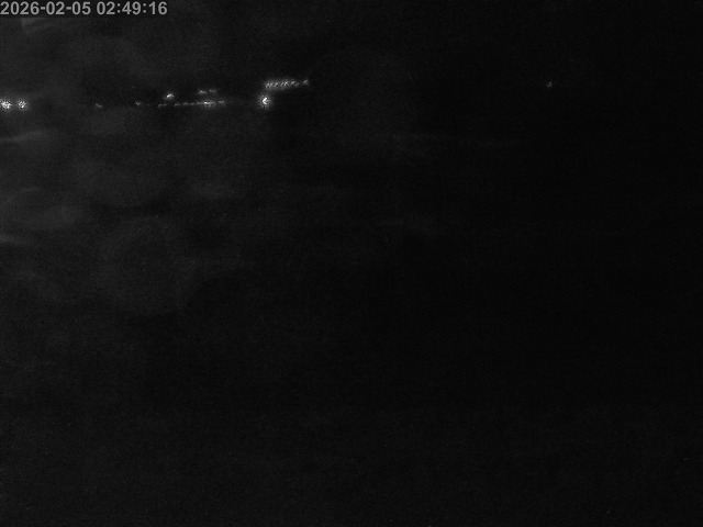 浜村川１2026/02/05 6:00:00