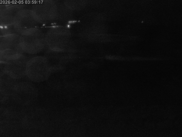 浜村川１2026/02/05 6:00:00