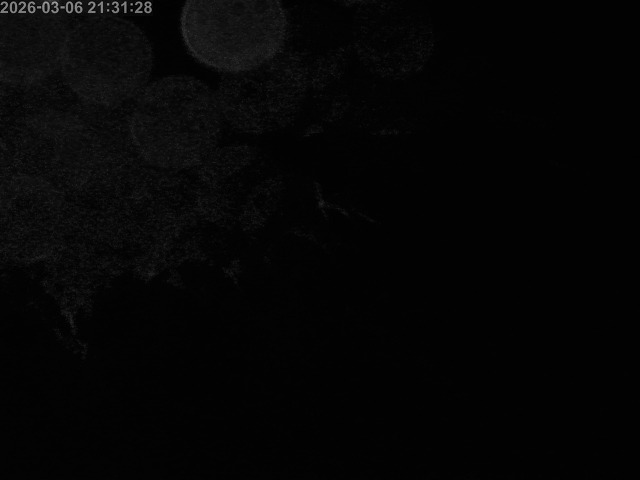 浜村川１2026/03/07 10:20:00