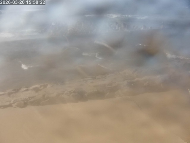 浜村川１2026/03/21 16:20:00