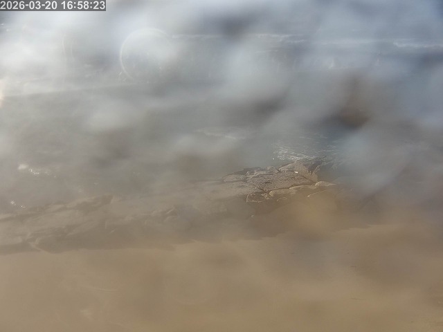 浜村川１2026/03/21 16:20:00