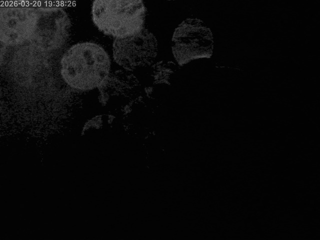 浜村川１2026/03/21 16:20:00