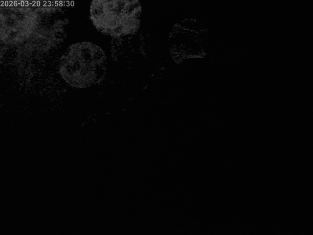 浜村川１2026/03/21 16:20:00