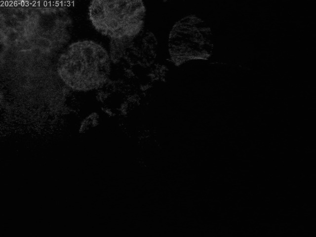 浜村川１2026/03/21 16:20:00