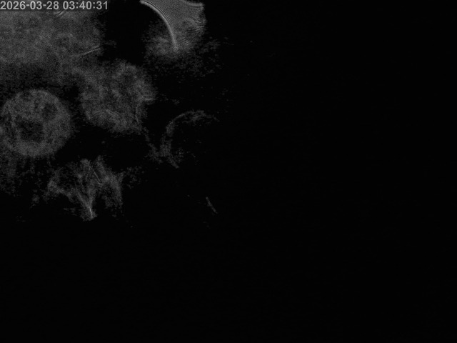 浜村川１2026/03/28 17:10:00