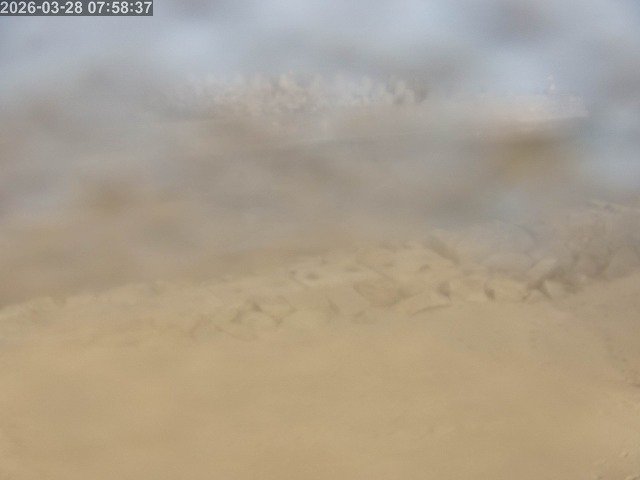 浜村川１2026/03/28 17:10:00