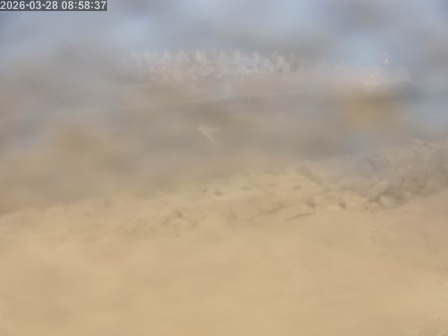 浜村川１2026/03/28 17:10:00