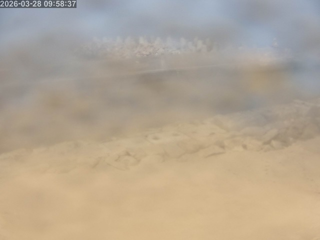 浜村川１2026/03/28 17:10:00