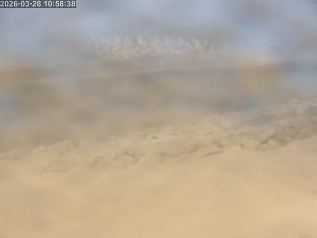 浜村川１2026/03/28 17:10:00