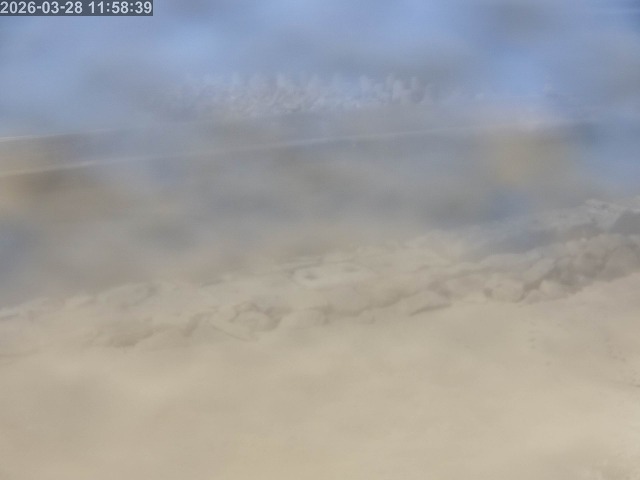 浜村川１2026/03/28 17:10:00