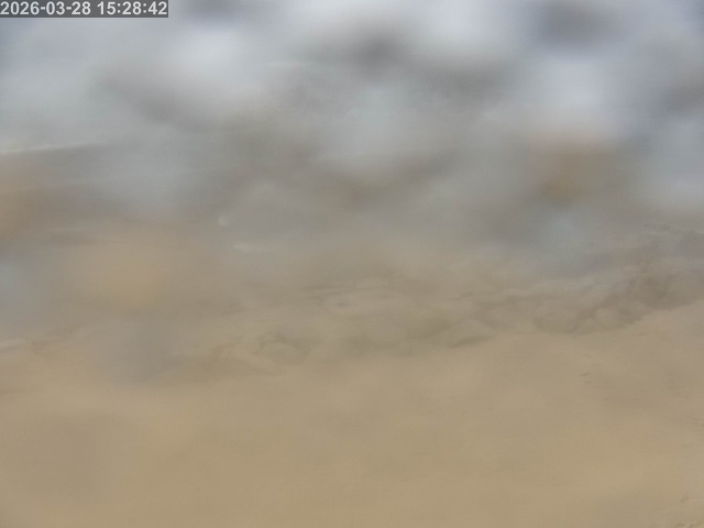 浜村川１2026/03/28 17:10:00