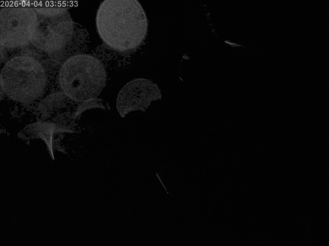 浜村川１2026/04/04 22:20:00