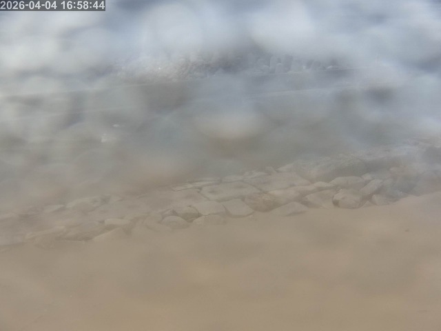 浜村川１2026/04/04 22:20:00