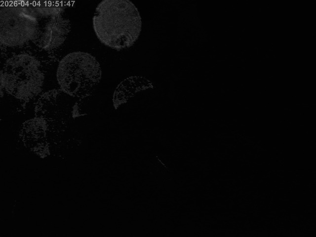 浜村川１2026/04/04 22:20:00