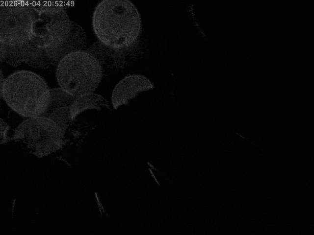 浜村川１2026/04/04 22:20:00