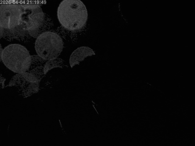 浜村川１2026/04/04 22:20:00