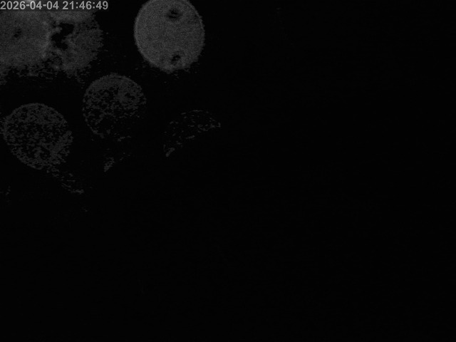 浜村川１2026/04/04 22:20:00