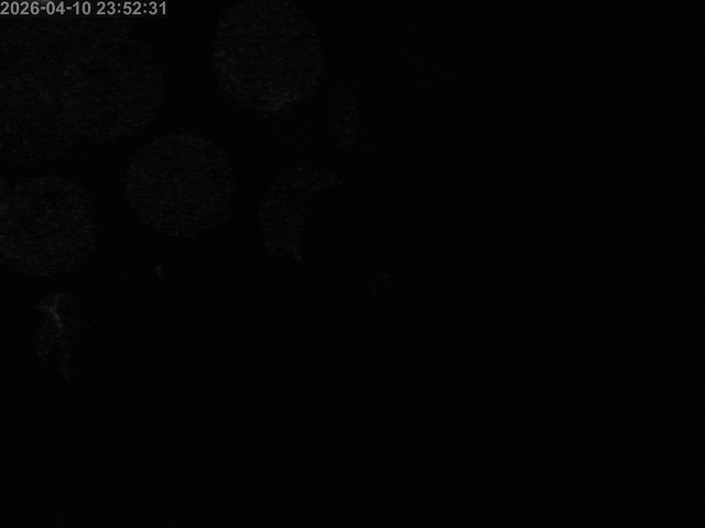 浜村川１2026/04/11 23:40:00