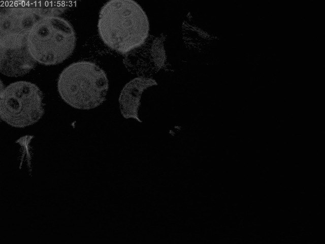 浜村川１2026/04/11 23:40:00