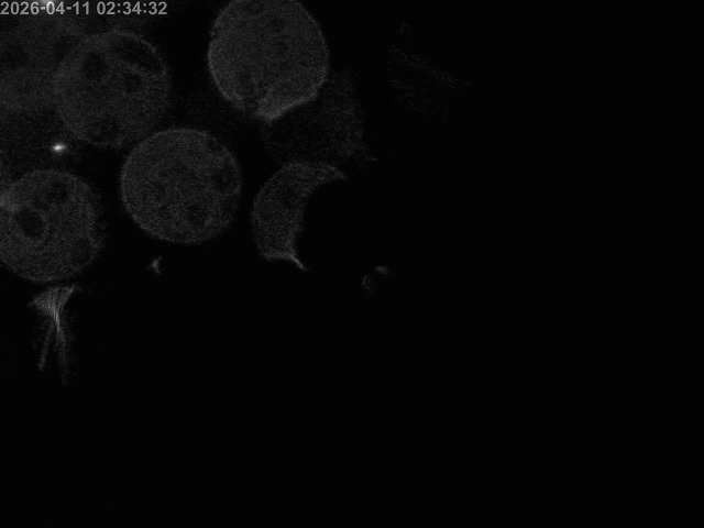 浜村川１2026/04/11 23:40:00