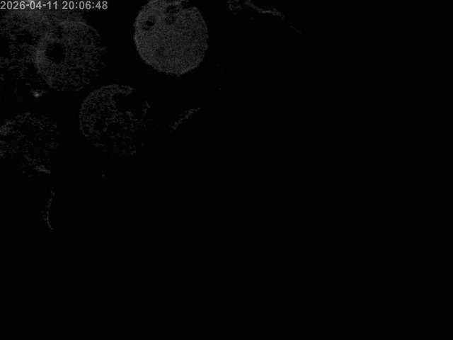 浜村川１2026/04/11 23:40:00