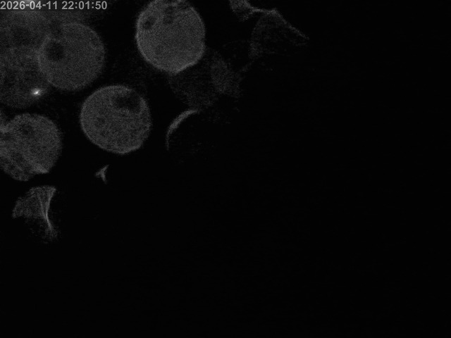 浜村川１2026/04/11 23:40:00