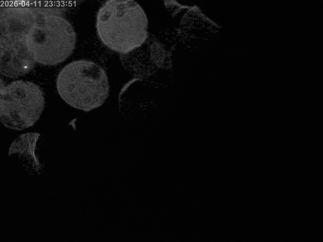 浜村川１2026/04/11 23:40:00