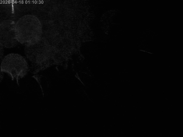 浜村川１2026/04/19 0:00:00