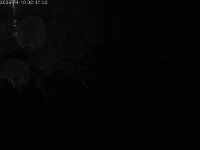 浜村川１2026/04/19 0:00:00