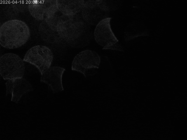 浜村川１2026/04/19 0:00:00