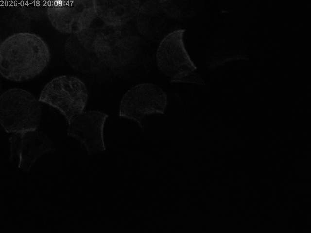 浜村川１2026/04/19 0:00:00