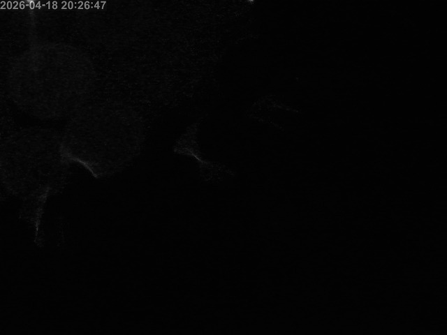 浜村川１2026/04/19 0:00:00