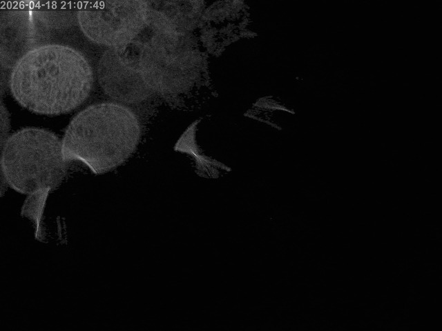 浜村川１2026/04/19 0:00:00