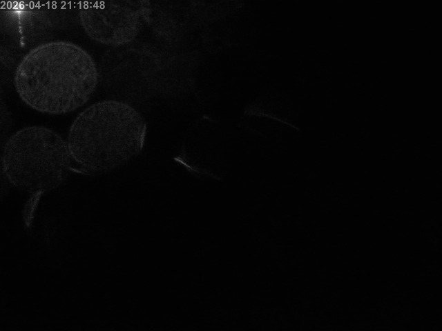 浜村川１2026/04/19 0:00:00