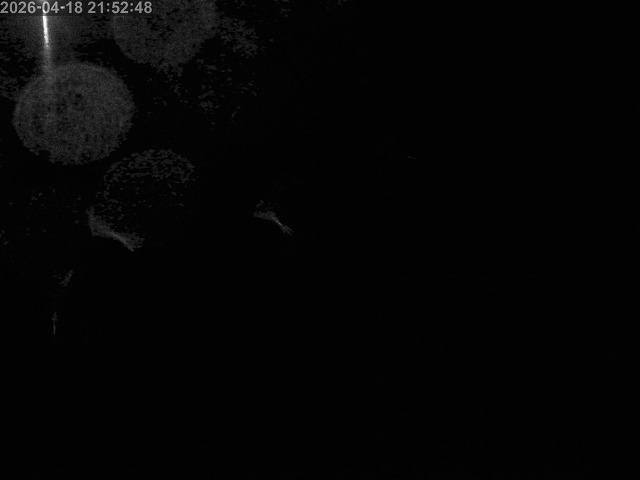 浜村川１2026/04/19 0:00:00