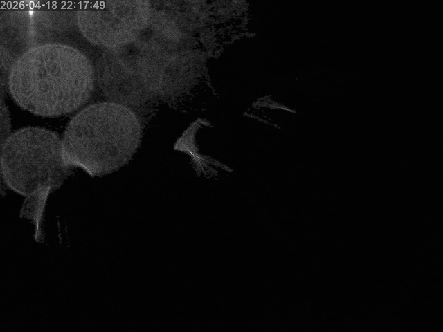 浜村川１2026/04/19 0:00:00