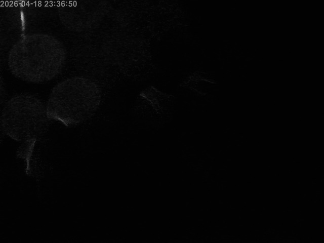 浜村川１2026/04/19 0:00:00