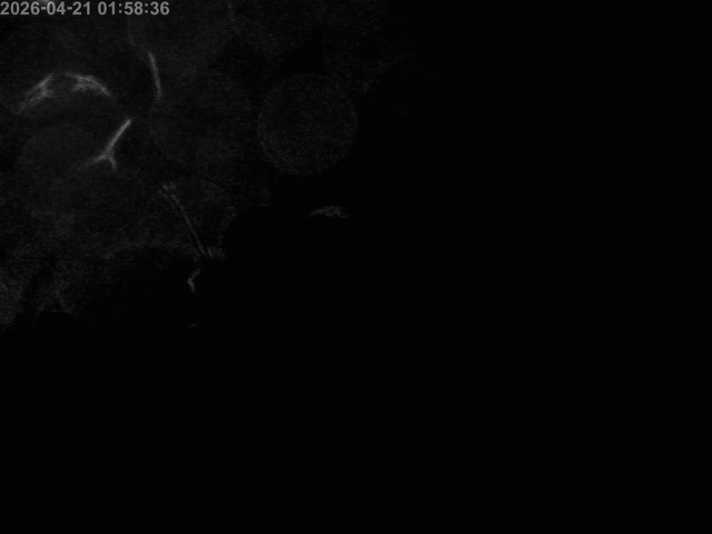 浜村川１2026/04/22 0:30:00