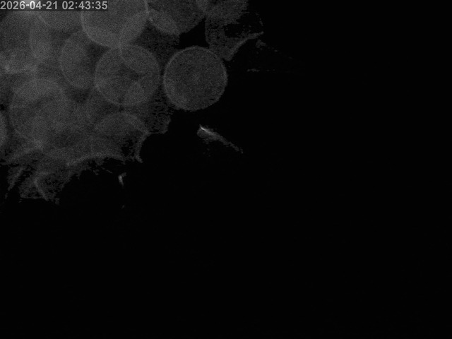 浜村川１2026/04/22 0:30:00