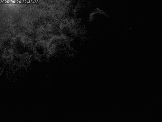 浜村川１2026/04/25 2:20:00