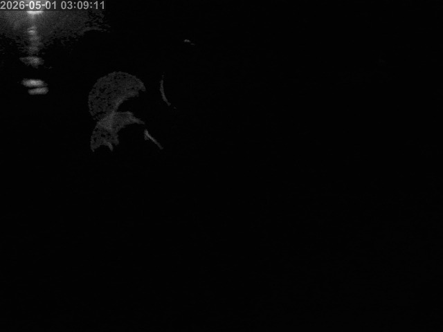 浜村川１2026/05/02 1:50:00